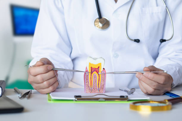 Best Emergency Dental Care for Trauma or Injury in Despard, WV
